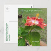 Oranje Tropische Hibiscus Flower Briefkaart (Voorkant / Achterkant)