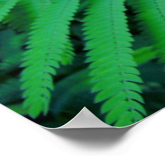 Oranje tropische ventilator poster (Hoek)