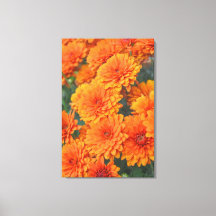 Oranje Tuinbloemen Mums Autumn Art