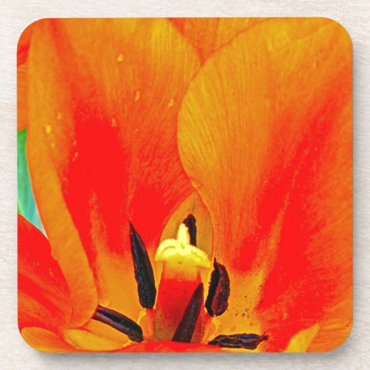 Oranje Tulip Bier Onderzetter (Voorkant)