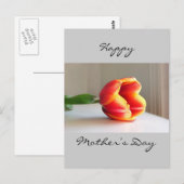 Oranje Tulip Briefkaart (Voorkant / Achterkant)