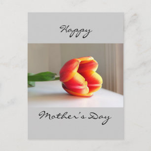 Oranje Tulip Briefkaart