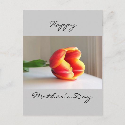 Oranje Tulip Briefkaart (Voorkant)