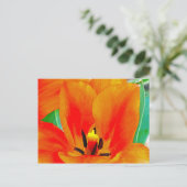 Oranje Tulip Briefkaart (Staand voorkant)
