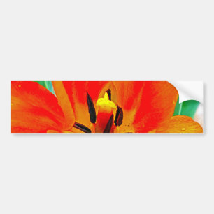 Oranje Tulip Bumpersticker