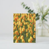 Oranje Tulip Flowers Briefkaart (Staand voorkant)