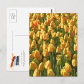 Oranje Tulip Flowers Briefkaart (Voorkant / Achterkant)