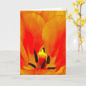 Oranje Tulip Kaart (Gele Bloem)