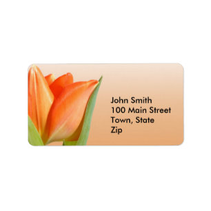 Oranje Tulip-labels Etiket