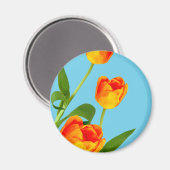 Oranje Tulip Magneet (Voorkant / Achterkant)