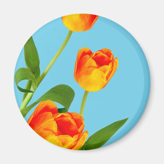 Oranje Tulip Magneet (Voorkant)