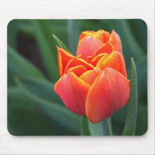 Oranje Tulip Muismat