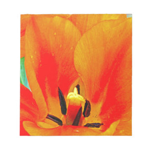 Oranje Tulip Notitieblok