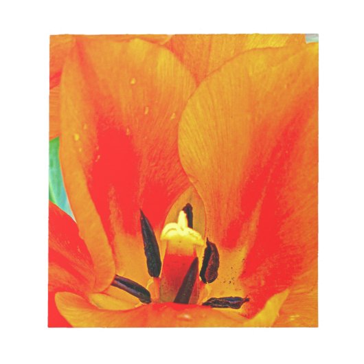 Oranje Tulip Notitieblok (Voorkant)
