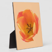 Oranje Tulip Plaque Fotoplaat (Zijkant)