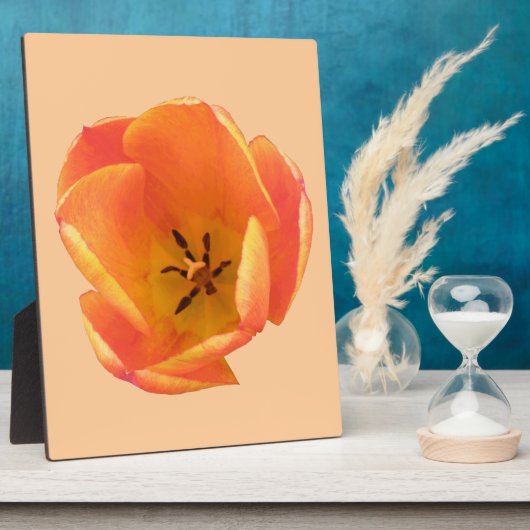 Oranje Tulip Plaque Fotoplaat (Zijkant)