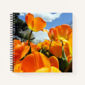 Oranje Tulip Reaching voor de Sky Notitieboek (Voorkant)