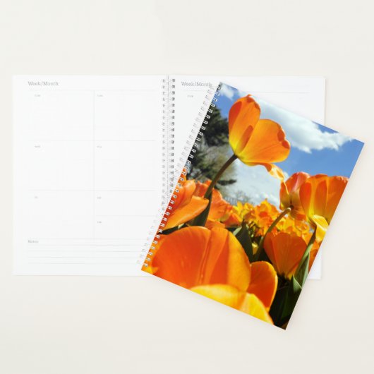 Oranje Tulip Reaching voor de Sky Planner (Display)