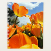 Oranje Tulip Reaching voor de Sky Planner (Voorkant)