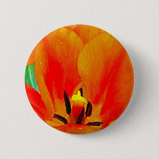 Oranje Tulip Ronde Button 5,7 Cm (Voorkant)