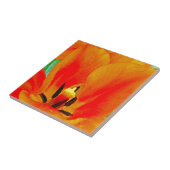 Oranje Tulip Tegeltje (Zijkant)