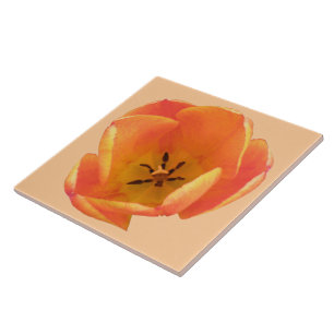 Oranje Tulip Tile Tegeltje