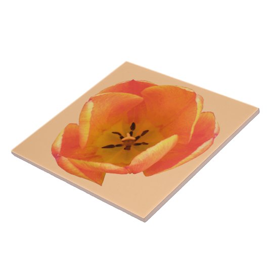 Oranje Tulip Tile Tegeltje (Zijkant)