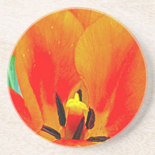 Oranje Tulip Zandsteen Onderzetter