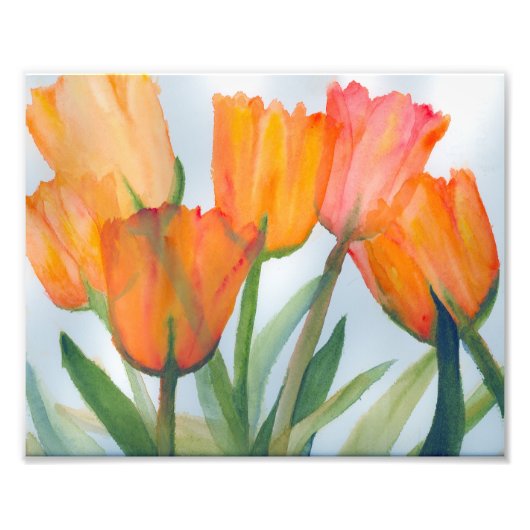 Oranje Tulips foto Afdruk (Voorkant)