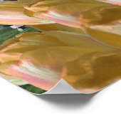 Oranje Tulips Mill Holland Poster Art (Hoek)