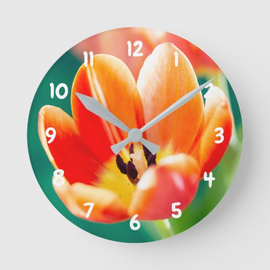 Oranje Tulp Acryl wandklok (Voorkant)