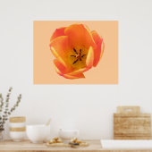Oranje Tulp-afdrukken Poster (Keuken)