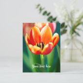 Oranje Tulp Ansichtkaart Feestdagenkaart (Staand voorkant)