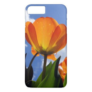 Oranje Tulp, blauwe hemel iPhone 8/7 Plus Hoesje