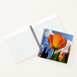Oranje Tulp, blauwe hemel Notitieboek