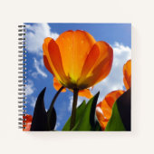 Oranje Tulp, blauwe hemel Notitieboek (Voorkant)