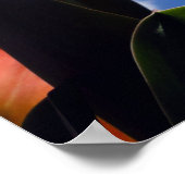 Oranje Tulp, blauwe hemel Poster (Hoek)