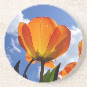 Oranje Tulp, blauwe hemel Zandsteen Onderzetter