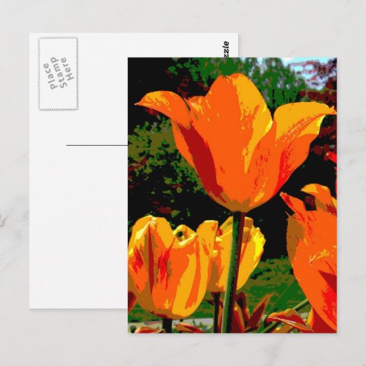 Oranje tulp briefkaart (Voorkant / Achterkant)