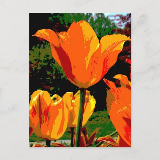 Oranje tulp briefkaart (Voorkant)