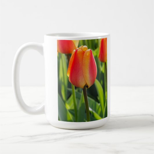 Oranje Tulp Foto Mok (Links)