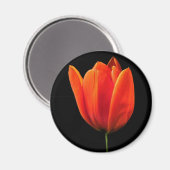 oranje tulp magneet (Voorkant / Achterkant)