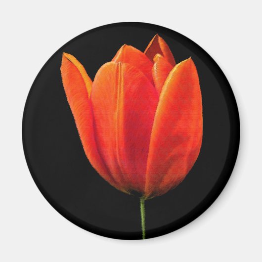 oranje tulp magneet (Voorkant)