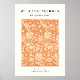 Oranje Tulp Poster