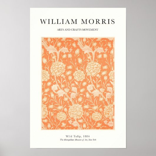 Oranje Tulp Poster (Voorkant)