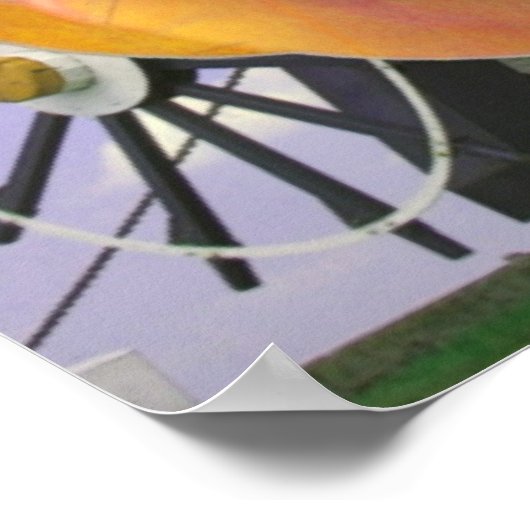 Oranje Tulp Poster (Hoek)