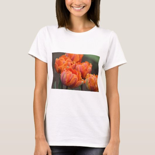 Oranje tulp T-shirt (Voorkant)