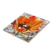 Oranje tulp tegeltje (Zijkant)