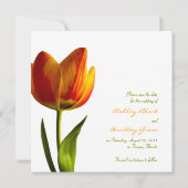 Oranje Tulp Trouwafspraak Save the Date Aankondigi (Achterkant)