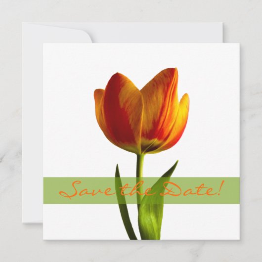 Oranje Tulp Trouwkaart Save the Date Aankondiging (Voorkant)